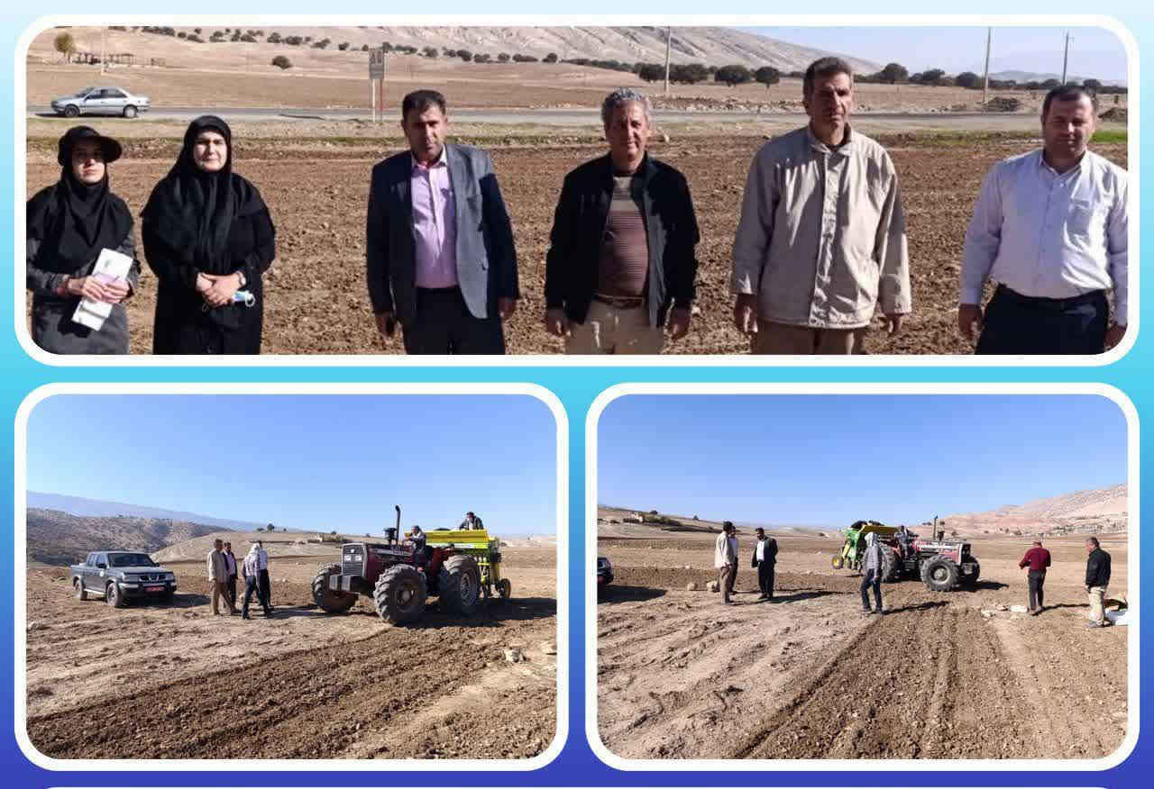 آغاز فصل نوین زراعت دیم با اجرای طرح جهش تولید در بدره
