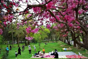 تجدید حیات و زیبایی‌های نوروز در روز سیزدهم