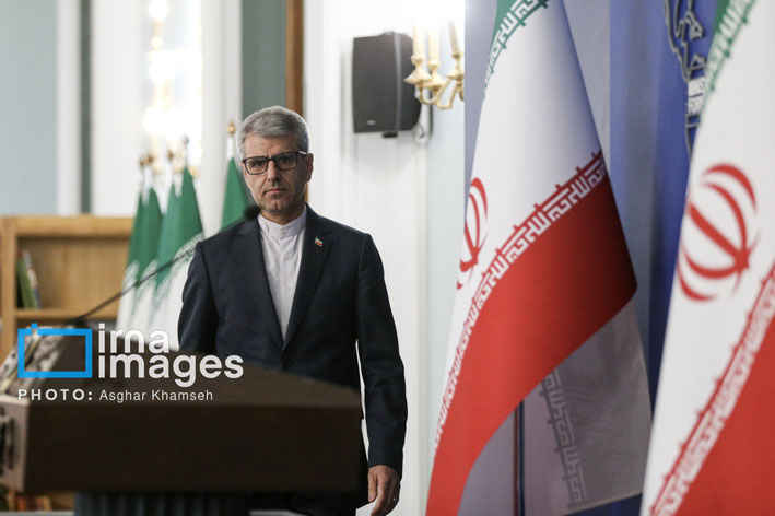 بقائی: پرچم ایران از میدان‌ جنگ تا عرصه‌ دیپلماسی، نماد استقلال و عدالت‌خواهی بوده است