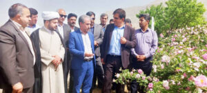 تحقیقات، نخبگان و دانش بومی؛ سه ضلع مثلث تحول کشاورزی در ایلام + گزارش تصویری