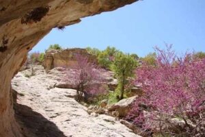دره ارغوان ایلام: نگین سبز در محاصره بی‌مهر ی!   ✍️ عبدل خزلی