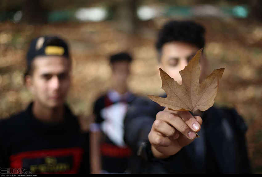 راهکارهای طلایی برای شادابی و غلبه بر افسردگی در پاییز