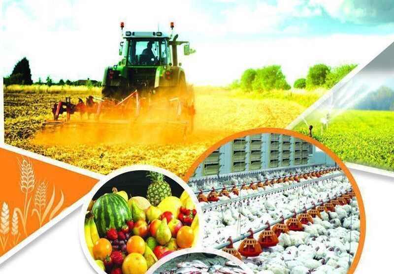 همکاری مرکز تحقیقات کشاورزی ایلام با پژوهشگاه علوم هسته‌ای گسترش می‌یابد
