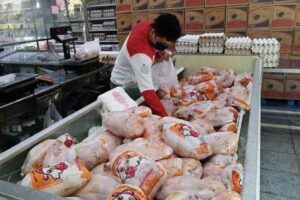 گوشت مرغ استان تهران تامین است/ برخورد جدی با گران‌فروشان