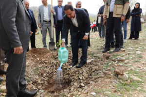 مجری طرح مردمی کاشت یک میلیارد درخت: ۶۶۰ میلیون نهال تولید شد