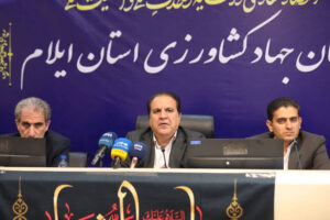 تاکید استاندار ایلام؛ متخلفان چرخه تولید و توزیع مرغ نقره‌داغ می‌شوند