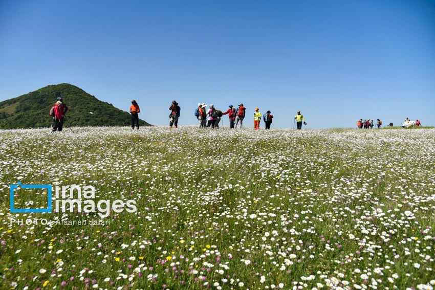 اردیبهشت، بهترین زمان برای سفر به مناطق زیبای ایران