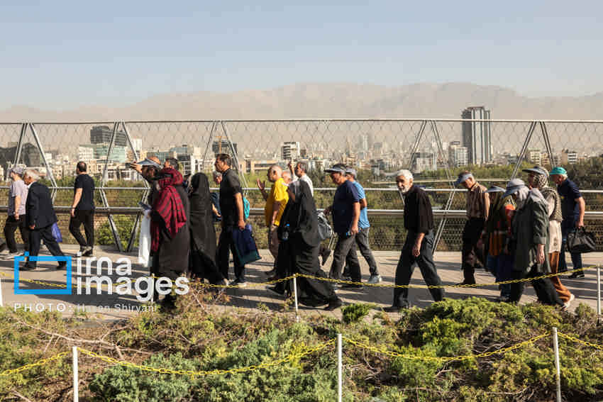 پیاده‌روی خانوادگی؛ درمانی طبیعی برای اضطراب و خستگی