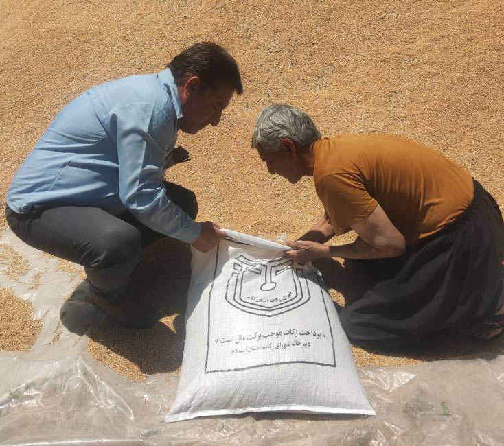 جمع آوری ۲۵ میلیارد تومان وجوهات زکات در ایلام؛ اجرای ۶۵ طرح اشتغال‌زایی و ۵ هزار خدمت امدادی