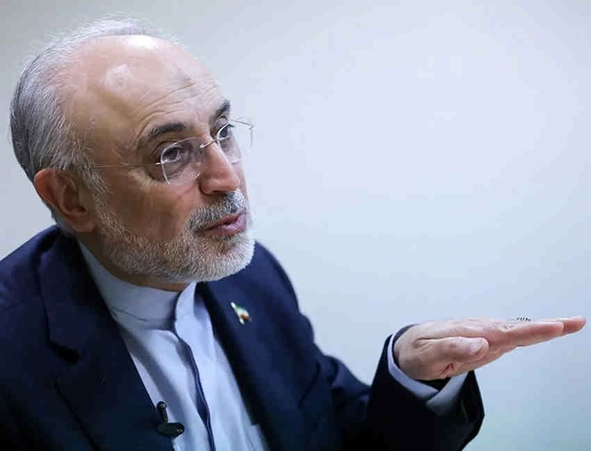 از رابطه با آمریکا تا دیپلماسی منطقه‌ای؛ دو خاطره صالحی از نگاه رهبر شهید به دیپلماسی