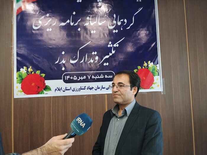 تامین ۲۵ همت تسهیلات برای تولید بذر کشور ضروری است